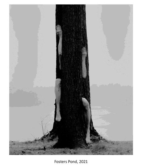 Image ITV Minkkinen 01