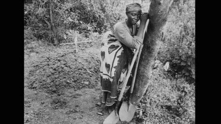 PRESENTER-SES-PHOTOS-POP-DANGER-RWANDA