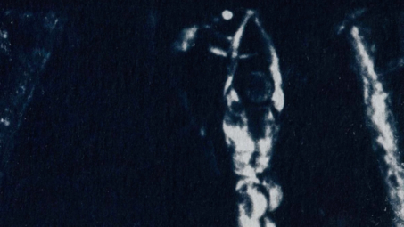 Cover Les ruines de ce rêve