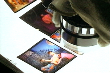 Wolfgang Hastert: Being a "photographic carnivore"