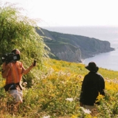 The uncomfortable Mr Frank: a filmography