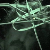 Michael Flomen: I did not want to photograph the event